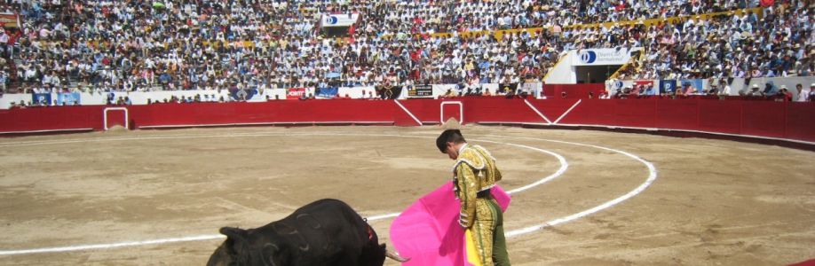 TOROS, LA FIESTA BRAVA Cover Image